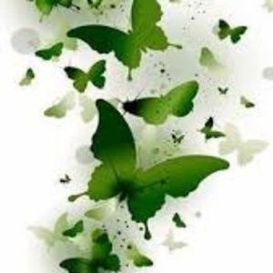 Meet your Posher, Tamara